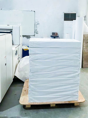 Şeffaf BOPP Yapıştırıcı Jumbo Roll Kimyasal Kanıtlı Çift Taraflı Mat