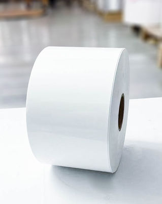 Açık BOPP Yapıştırıcı Jumbo Roll Etiketler Kağıt Sentetik Hareketli Yapıştırıcı