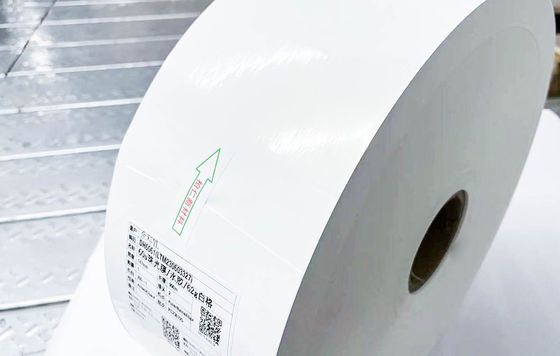 Açık BOPP Yapıştırıcı Jumbo Roll Etiketler Kağıt Sentetik Hareketli Yapıştırıcı