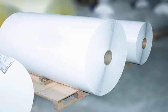 Kendine yapışkan termal etiket Jumbo Roll, yapışkan arka kağıt 54u Yüzey kalınlığı
