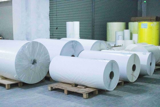 Kaplı sentetik kağıt Termal Kağıt Jumbo Roll 75u Yüzey Kalınlığı Yağ yapıştırıcısı