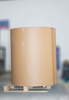 Sıcak Erimiş Yapıştırıcı Termal Etiket Rulo, Kraft Kağıdı Jumbo Rulo 80u Yüzey Kalınlığı