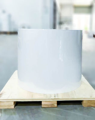 İyi bir fiyat. Normal yapışkan açık BOPP rulo etiketi, yağ yapışkan yapışkan desteklenen kraft kağıdı çevrimiçi